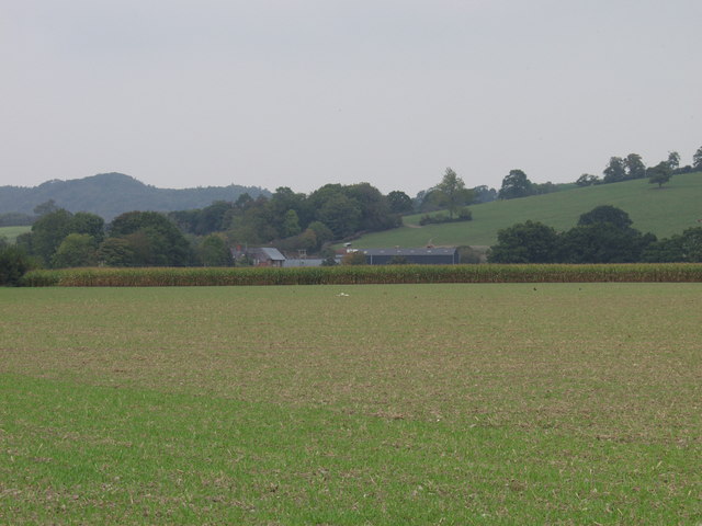 The land where the castle was once believed to have stood. 